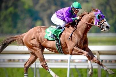 Victor Espinoza and California Chrome win the million dollar Santa Anita Derby