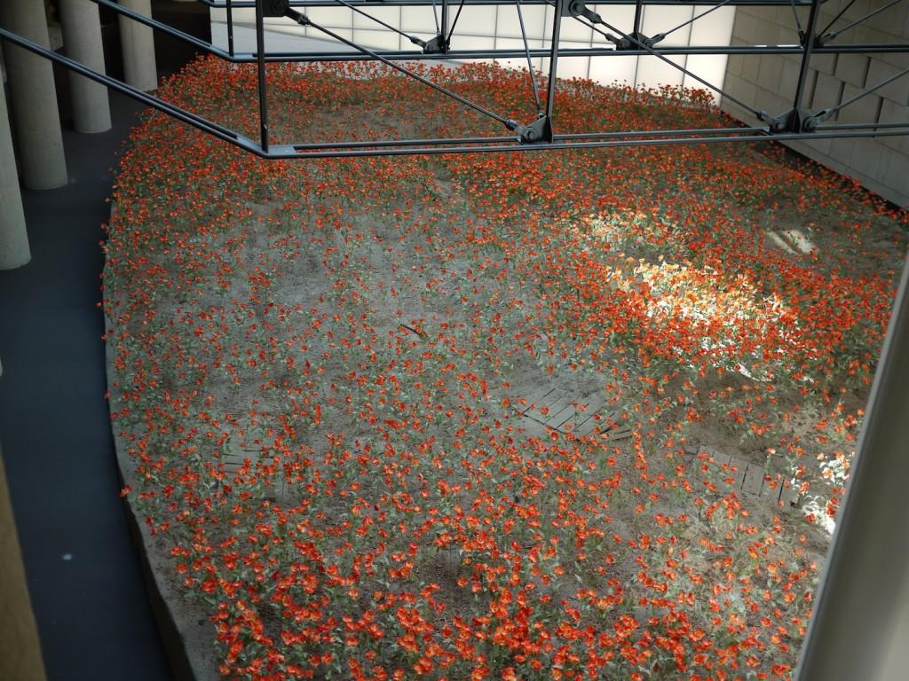 A field of 9,000 poppies, each representing 1,000 war com- batant deaths at The National World War One Museum of America.