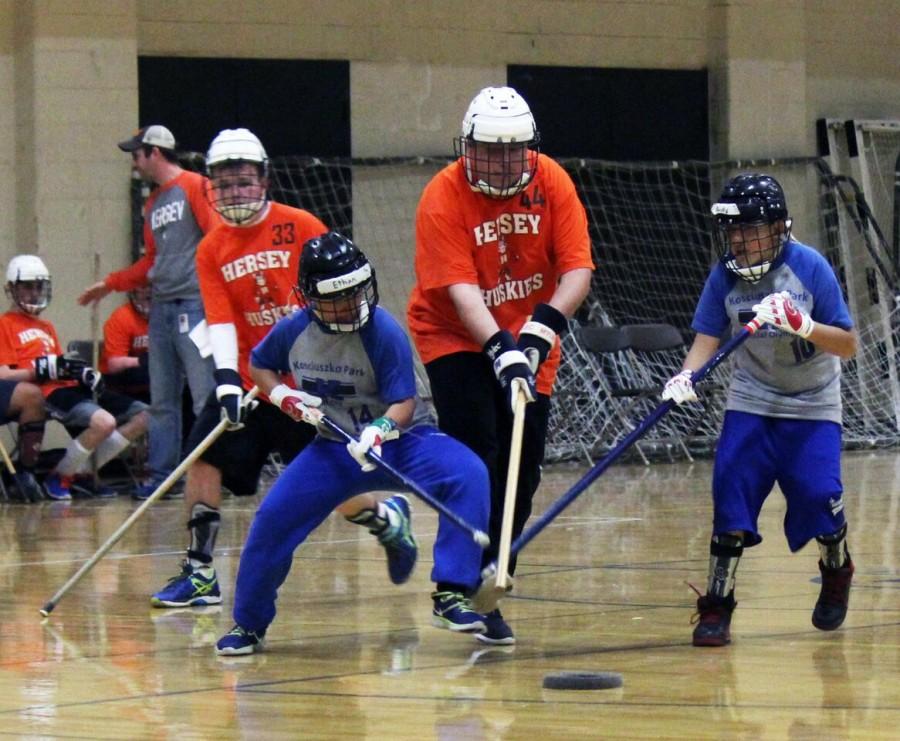 Division 2 teams Koz Junior Stars and Hersey Huskies White go head- to- head