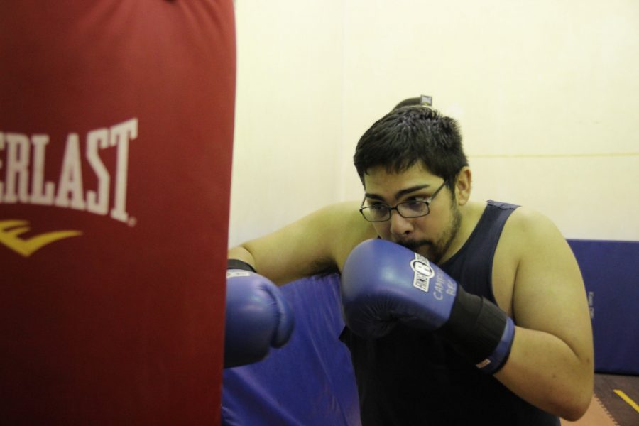 Boxing Club set to lace gloves for fall semester