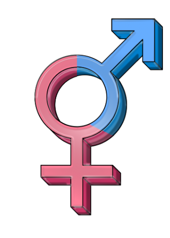 Making room for trans athletes