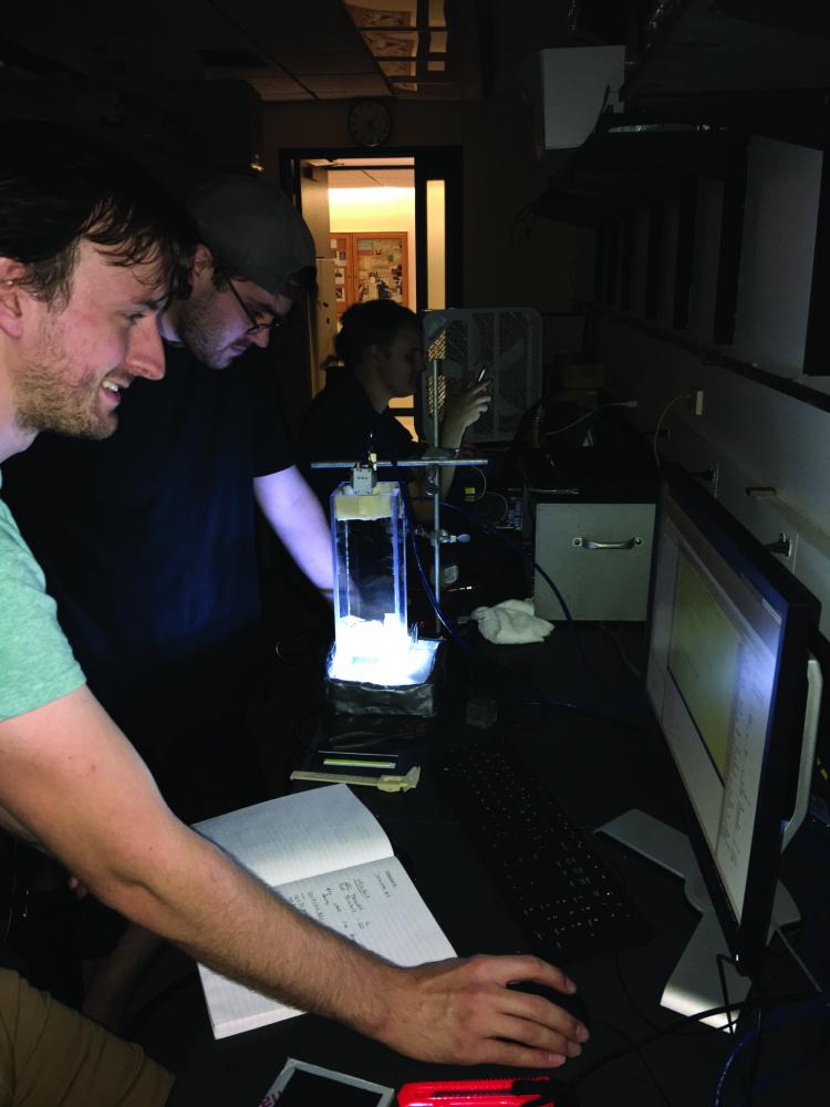 From left to right: Samuel Pate, Patrick Dowdle and Vincent Vangelista.
Dr. Orin Harris is going to travel with three students to Canada to research dark matter.