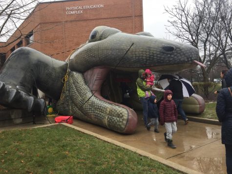 ReptileFest raises awareness for animal endangerment