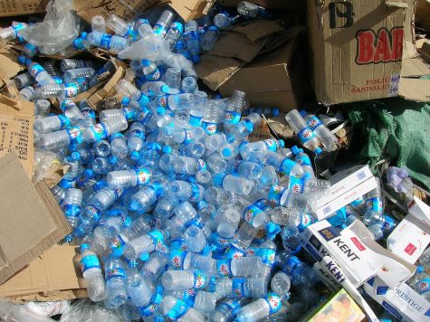 Four Affordable Ways to Cut Down on Plastic