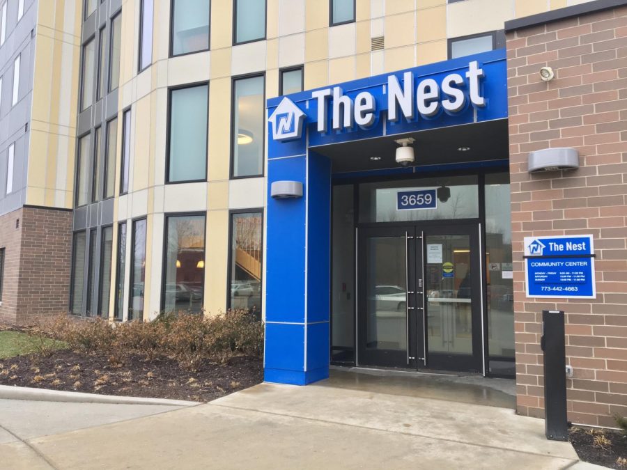 The Birds at the Nest: An Exchange Student’s Experience