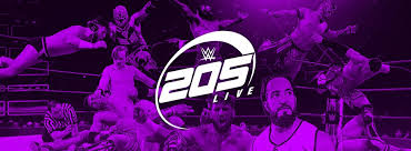 Armchair Creative: Reviving the Cruiserweight Division