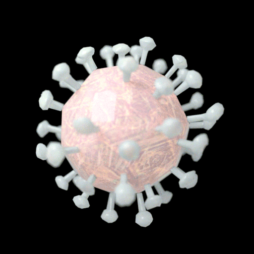 The Coronavirus COVID-19 illustrated, rotating. | By Maximilian Schönherr
