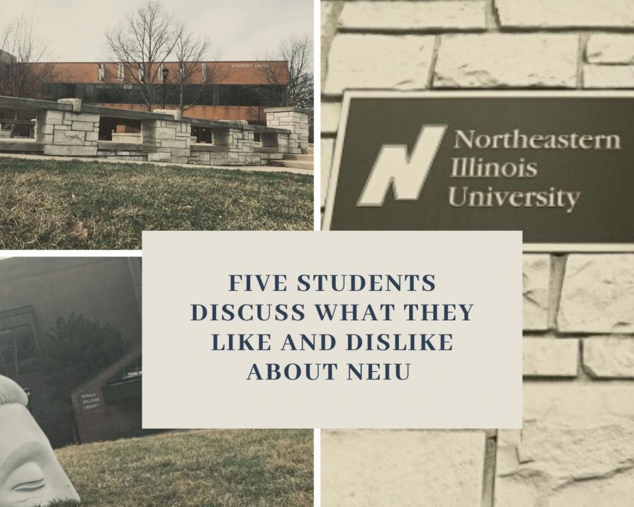 Five+students+discuss+what+they+like+and+dislike+about+NEIU