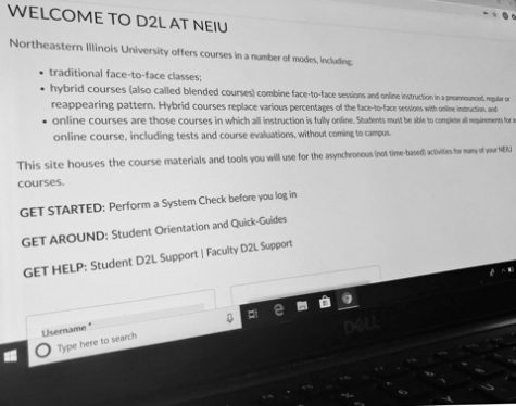 The dilemma surrounding online-only education