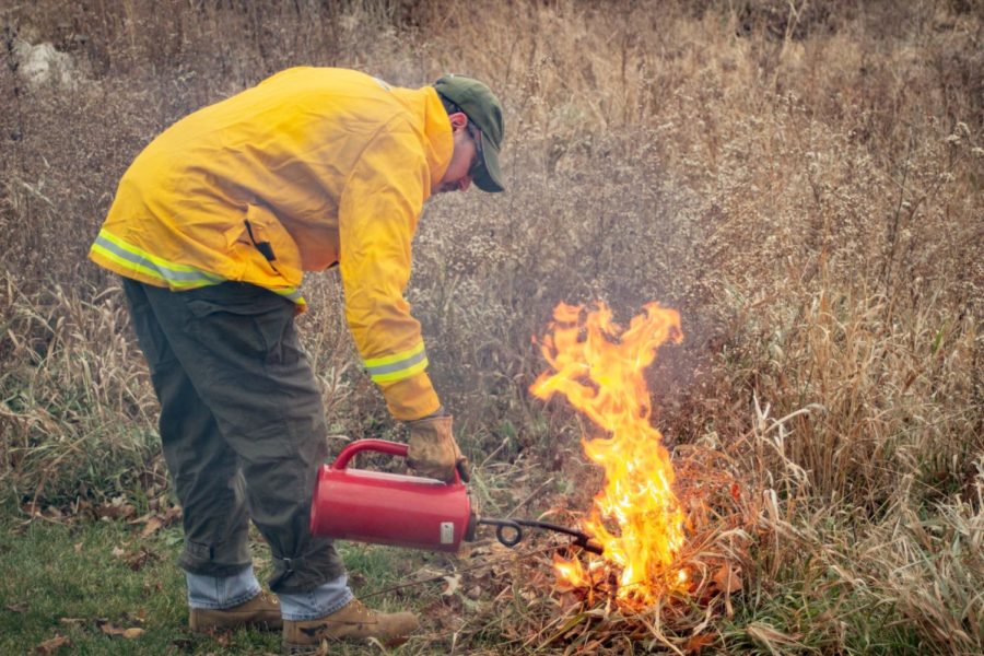 Dr. Steve Frankel of the biology department starts the prairie burn