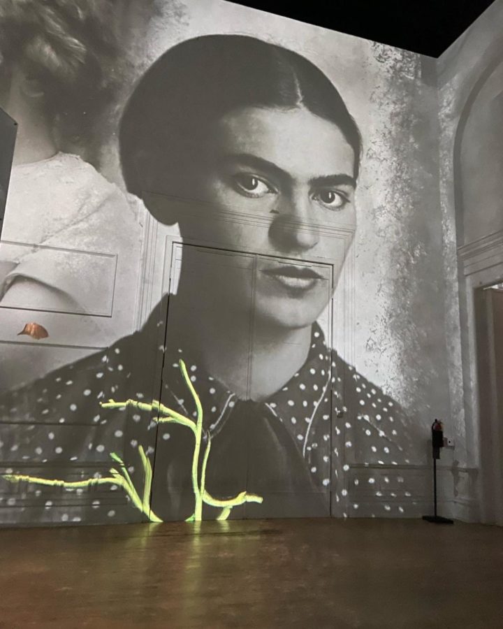 Frida Kahlo Immersive Exhibit