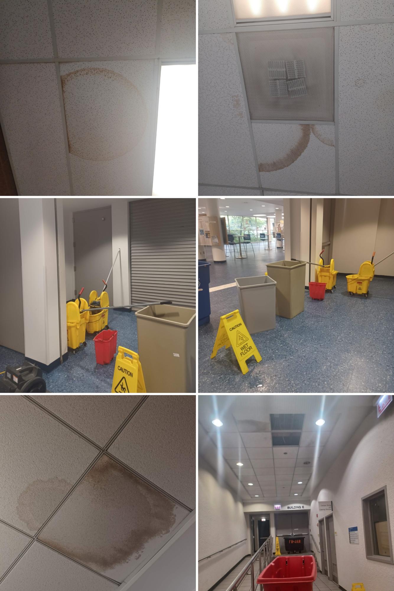 Photos on top are water damage on ceiling near FA 215.

Photos in center is buckets and mops collecting water leaks.

Photos in bottom are water damage in ceiling near the trash can collecting water leaks.