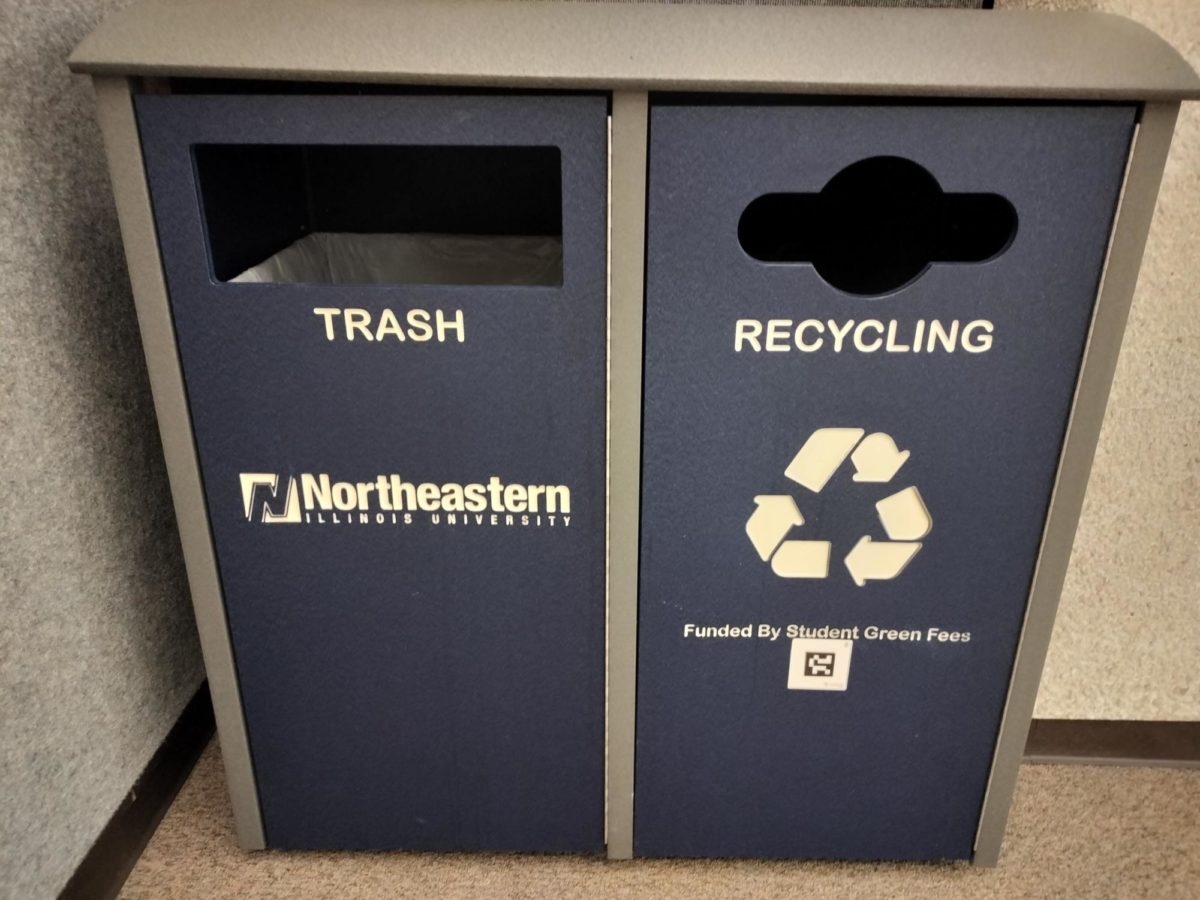 The illustrated recycling bin funded by Student Green Fees were found in the Ronald Williams Library