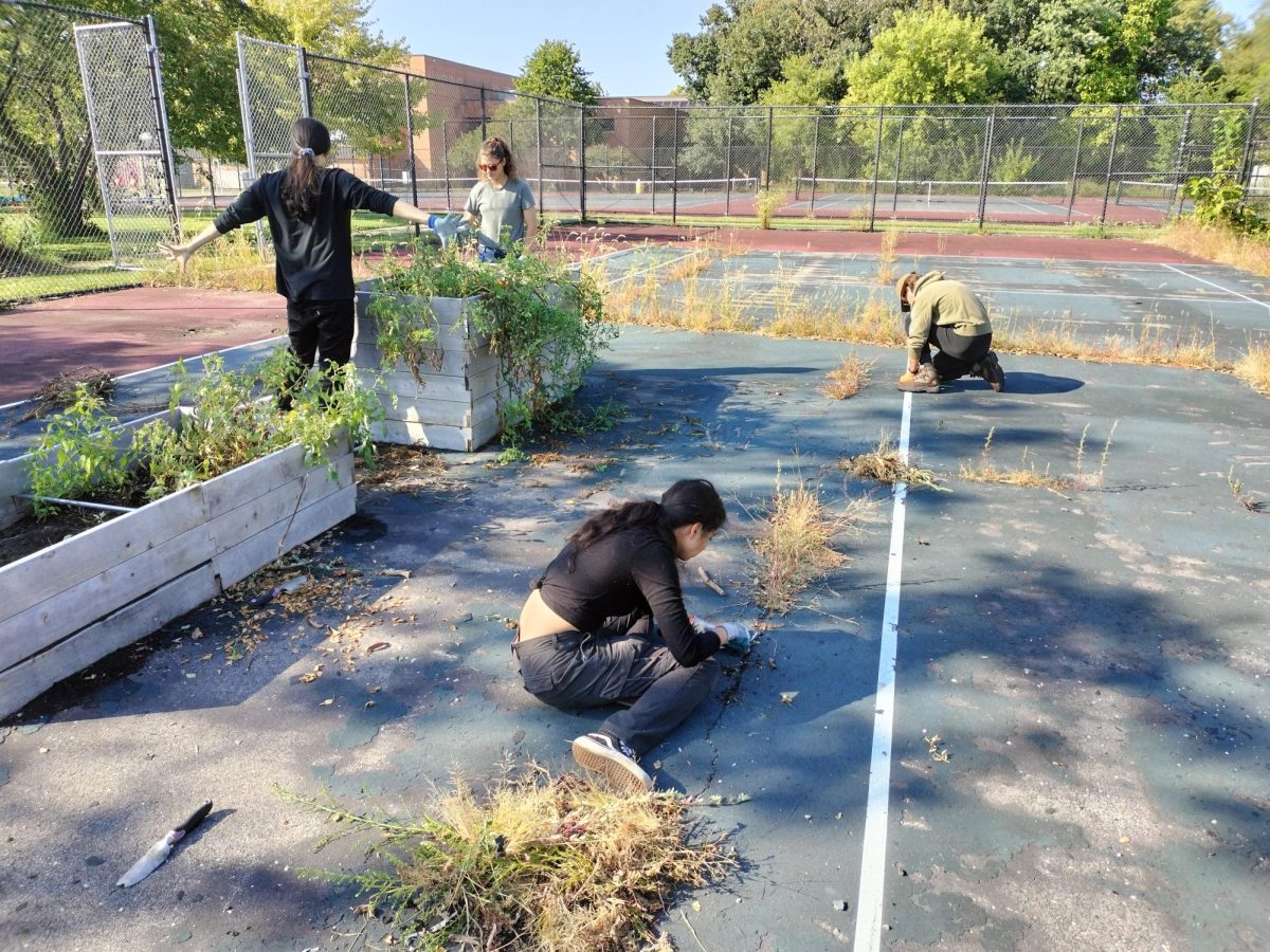 GCG’s Vision:  Transforming Old, Abandoned Tennis Courts into a Blooming Community Garden