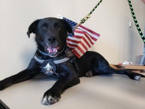 Barron Sitting on a table during the Badge ceremony looking at the camera.