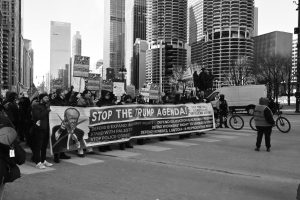 With Fascism on the Rise, Where Do We Go From Here?