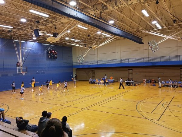 NEIU sets a screen to deter Truman’s scoring attempt.