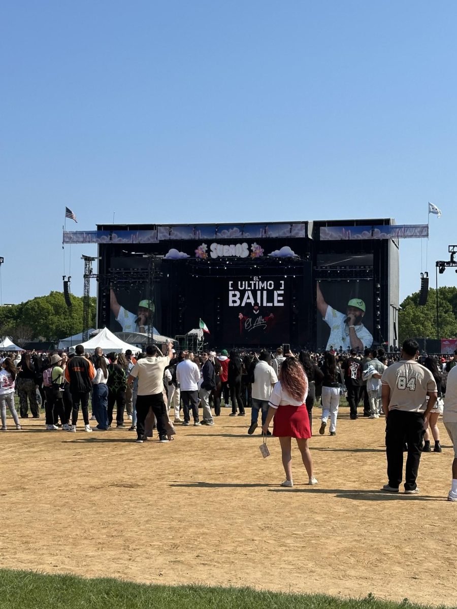 Crowd of people looking at El Alfa perform
